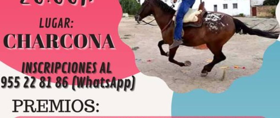 CONCURSO CINTAS CABALLO